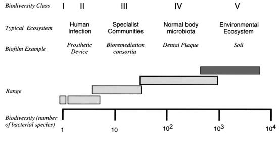 Figure 1: Biodiversity class of biofilms. From (Allison, et al. 2000) 